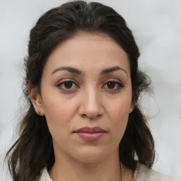 Avatar de Pedro Almeida